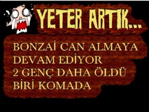 BONZAİ CAN ALMAYA DEVAM EDİYOR