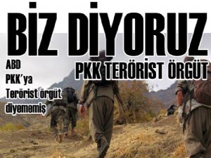 ABD PKK'ya Terörist örgüt diyememiş! biz diyoruz