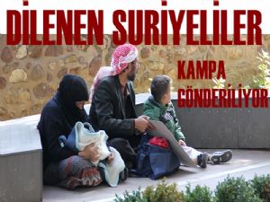 Dilencilik yapan Suriyeliler kampa gönderiliyor