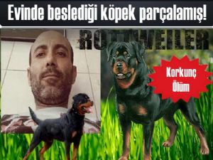 Evinde beslediği köpek katili oldu