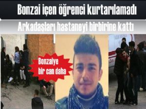 Bonzaiye bir kurban daha gitti