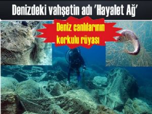 'Hayalet ağ' deniz canlılarının korkulu rüyası 