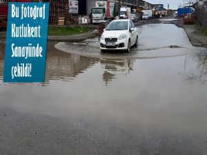 Samsun'a yakışmayan görüntüye yoğun tepki 