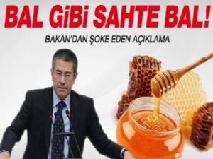 Bakan Canikli: Reklâmı yapılan balların tamamı sahte