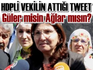 HDP'li Vekil Şemsiyeyi Silah Zannetti, Sosyal Medya Sallandı