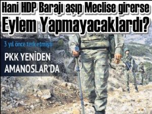HDP Meclise girerse PKK eylem yapmaz diyenler nerdesiniz?