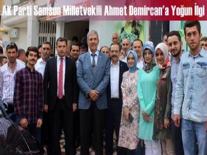 AK Parti Samsun Milletvekili Ahmet Demircan'a yoğun ilgi