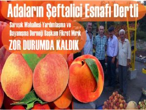 Adaların şeftalici esnafı derdini döktü