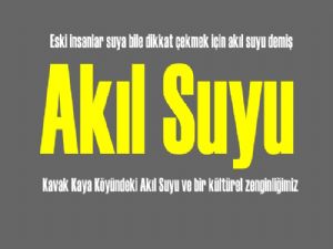 Kavakta kültürel zenginliklerimizden  'akıl suyu'  