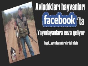 Avladıkları hayvanları Facebook'ta teşhir edenlere ceza