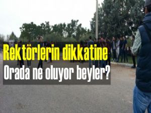 Üniversitelerde ne oluyor beyler?