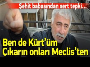 Şehit babası: O itleri meclisten çıkarsınlar