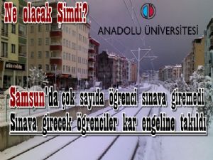 AÖF sınavlarına girecek öğrenciler kar engeline takıldı