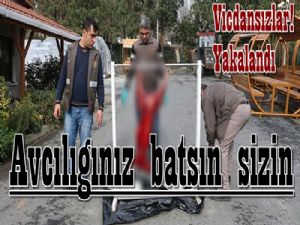 Vicdansızlar Karacanın derisini yüzüp parçaladılar