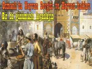 Osmanlı'da Hayvan Sevgisi ve Hayvan Hakları