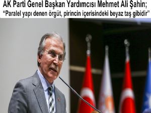 'Paralel yapı denen örgüt, pirincin içerisindeki beyaz taş gibidir