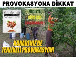 Fındıkta provokasyana dikkat