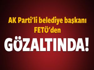 Belediye Başkanı FETÖ'den gözaltına alındı!