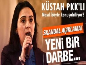 PKK'lıların Meclisteki  temsilcisinden skandal sözler