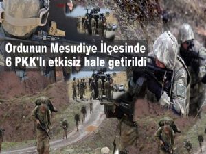 Ordu Mesudiye'de PKK'ya büyük darbe