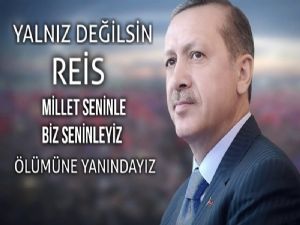 Yalnız Değilsin Reis Ölümüne Yanındayız 