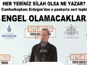 Erdoğan 'HER YERİNİZ SİLAH OLSA NE YAZAR?'