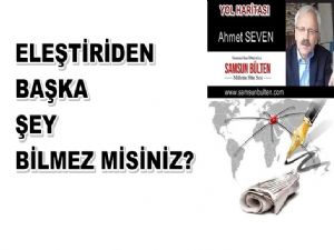 Eleştiriden başka bir şey bilmez misiniz?