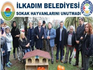 İlkadım Belediyesi Sokak Hayvanlarını Unutmadı 