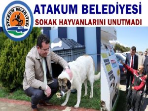 Atakum Belediyesinden Bir Örnek Davranış Daha