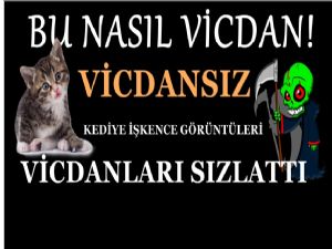 Kediye işkence eden caninin askerliği yandı