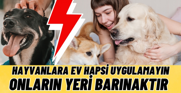 Hayvanlara ev hapsi uygulamayın