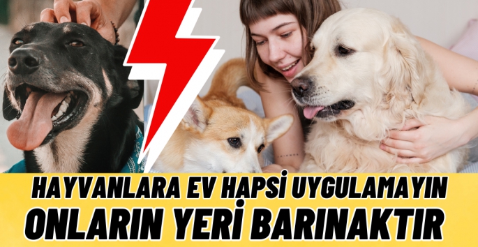 Hayvanlara ev hapsi uygulamayın