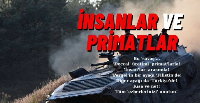 İnsanlar ve primatlar!