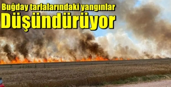 Buğday tarlalarında yaşanan yangınlar düşündürüyor?