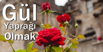 Yük olmayıp yük almak gül yaprağı olmak