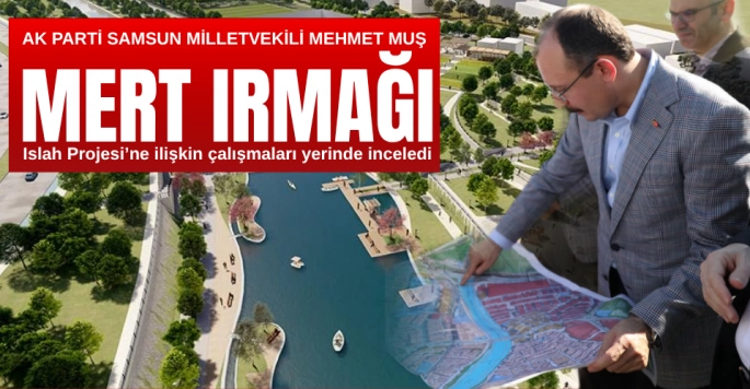 Milletvekili Mehmet Muş Mert Irmağı Islah Projesini İnceledi