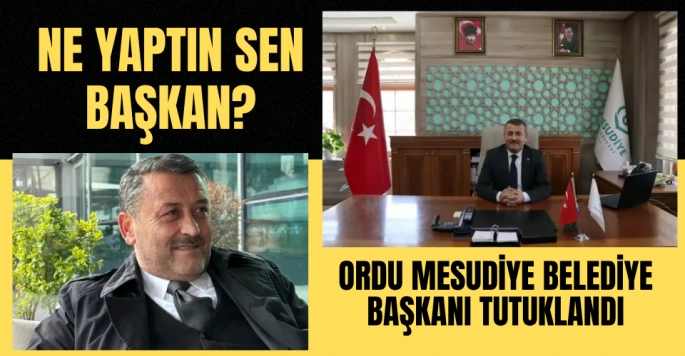 Ordu'nun Mesudiye Belediye Başkanı Cengiz Koçyiğit hapis cezasına çarptırıldı