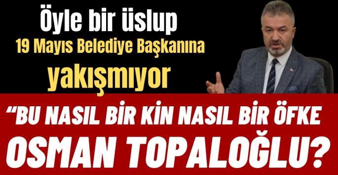 Osman Topaloğlu'nun üslubu üzerine