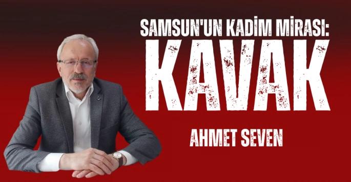 Samsun'un Kadim Mirası: Kavak