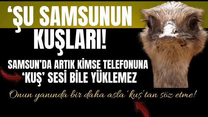 Şu Samsunun Kuşları!