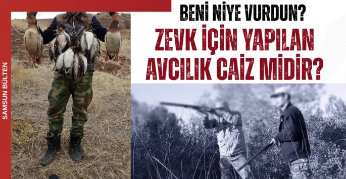 Zevk için yapılan avcılık caiz midir?