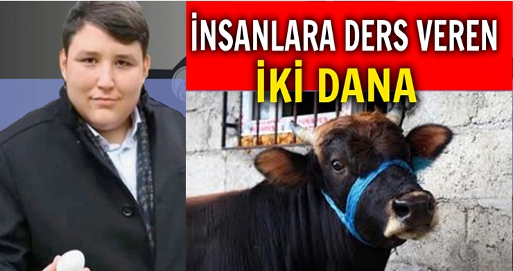 DANALARDAN DERS ALMAK
